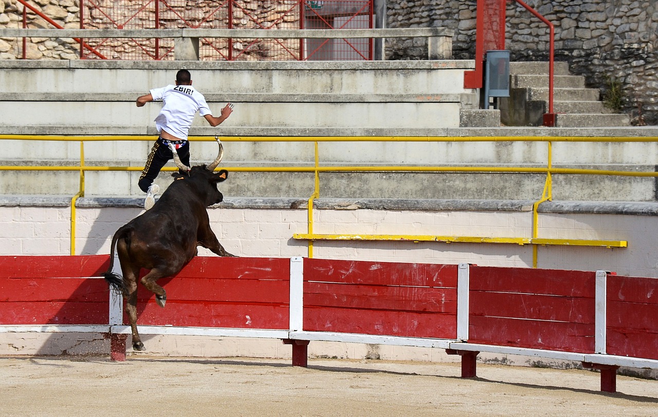 春力量和奋