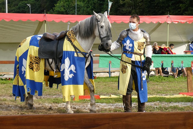 个赛季中 个赛季中