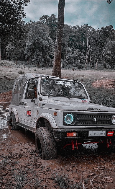 对他来说不 对他来说不