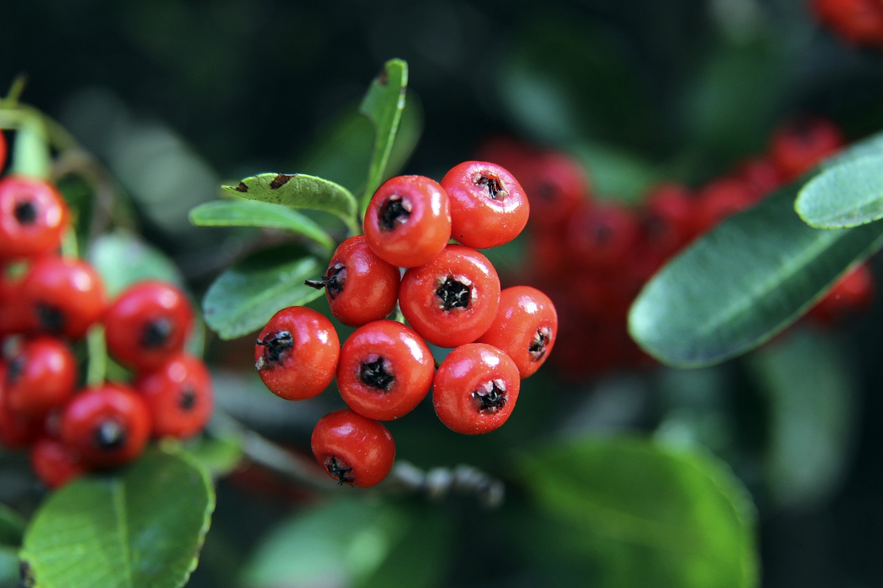 熱愛仍在 熱愛仍在